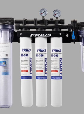 FRIHS/弗瑞仕单联净水器厨房商用自来水龙头过滤器家用直饮净水机