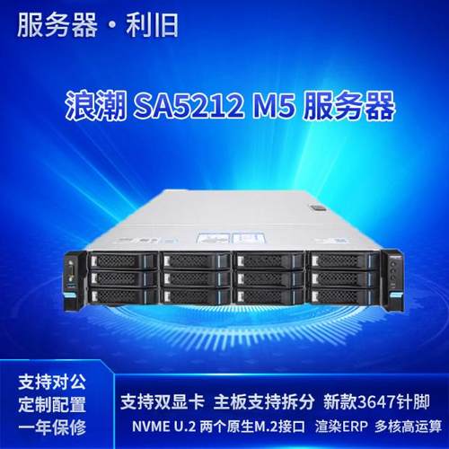 浪潮U.2服务器NVME铂金2021年出