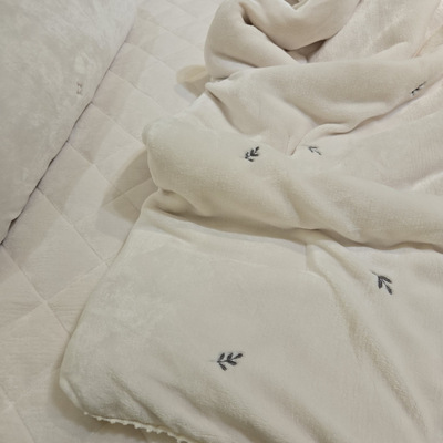 韩国超细纤维牛奶绒秋冬盖毯被子