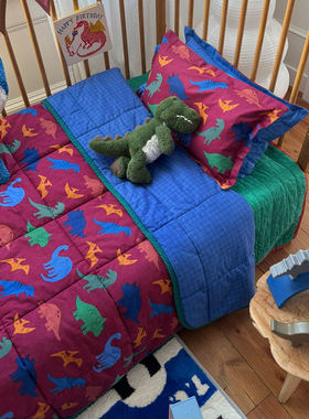 韩国正品代购 tinycosmos侏罗纪恐龙水洗纯棉儿童单人被子空调被