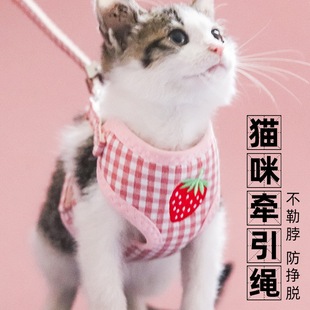 遛猫绳 厂家直供新款 牵引绳胸背 带零食包猫咪牵引绳 可调节外出