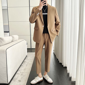 春夏薄款宽松休闲垂感简约西服套装1829-P205图片