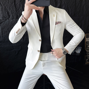 两粒扣西服套装韩版修身商务休闲西装两件套1831-P225,男装西服套装,星座1606-1