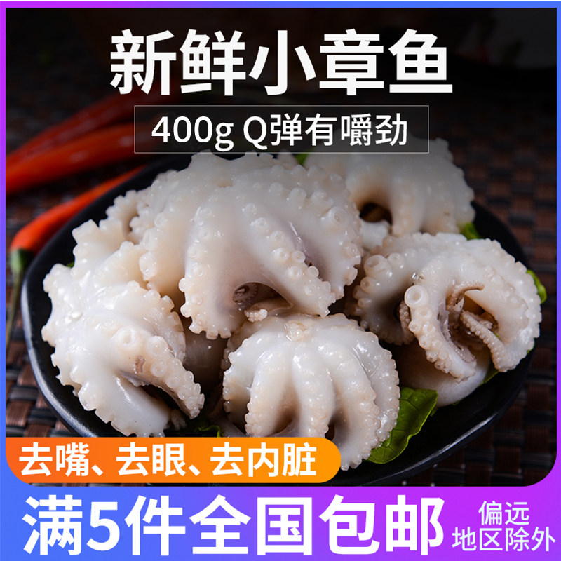 新鲜新鲜八爪鱼冷冻小章鱼400g