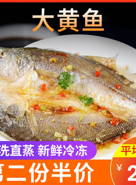 大黄鱼 280g条免洗直蒸 新鲜冷冻食黄鱼材海鲜水产深海黄花鱼