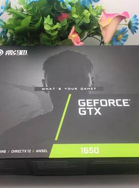 影驰GTX1650大将OCGD