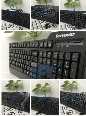 联想/IBM键盘KB1021/KB-0225 SK-8825/8820/9500 DOK5321 KUF0761
