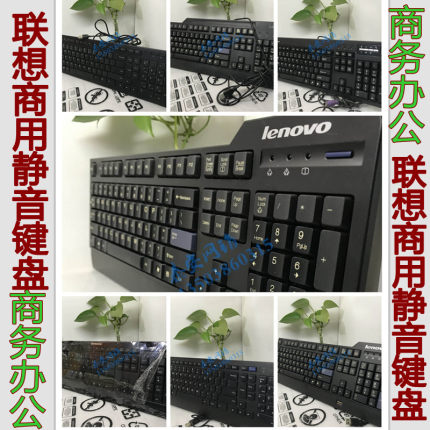 联想/IBM键盘KB1021/KB-0225 SK-8825/8820/9500 DOK5321 KUF0761