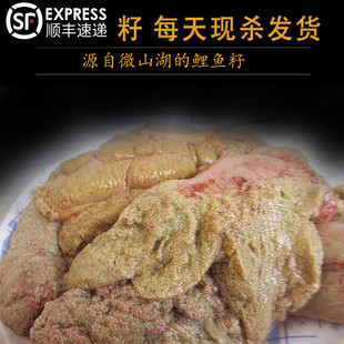 鲤鱼籽鱼籽酱鱼白鱼泡鱼杂速冻淡水现取鱼卵鱼蛋新鲜到家 包邮