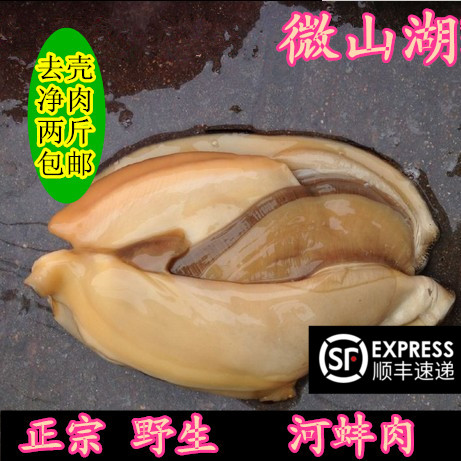 河蚌肉新鲜 2斤 微山湖淡水大河蚌活体蚌生态河蚌肉去壳净肉包邮