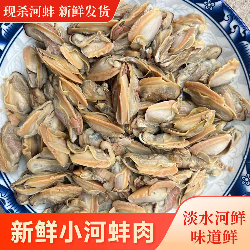 微山湖新鲜淡水小河蚌活体蚌河蚌肉食材生态去壳净肉速冻顺丰包邮