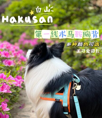 王可爱园长日本Hakusan马鞍中大小型犬狗狗外出胸背柔软舒适