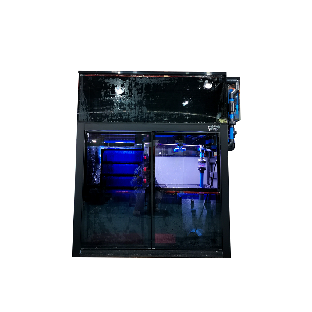 恋石坊鱼缸定制原生溪流缸全背包