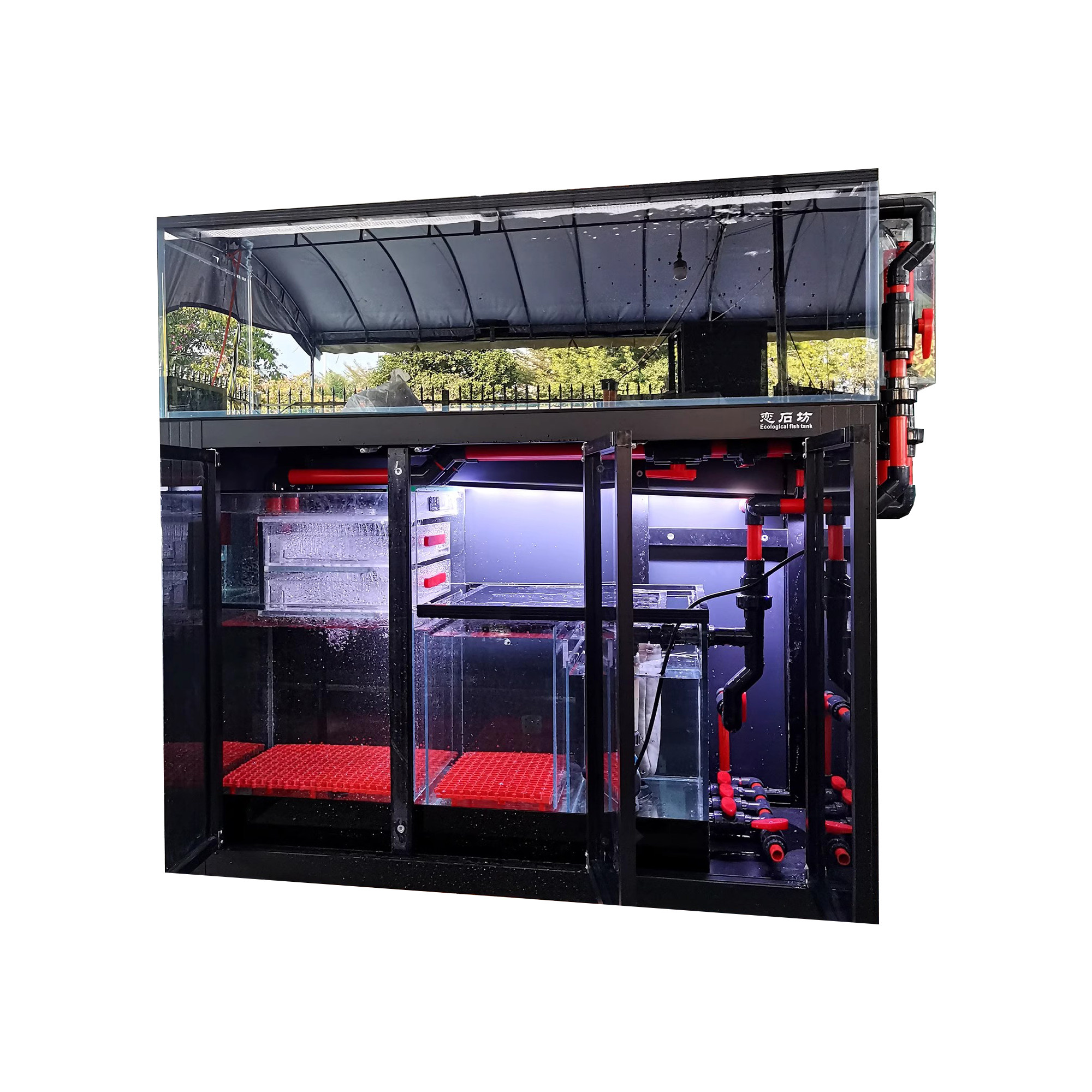 生态鱼缸溪流缸兰寿缸定制工业风超静音滴流大底滤强排全国包邮