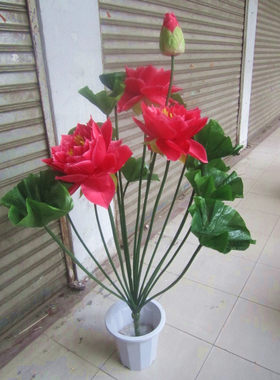 盆栽居家园艺花卉睡莲仿真植物