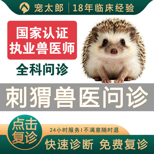 刺猬宠物医生在线问诊24小时异宠兽医刺猬问诊刺猬医生刺猬皮肤病