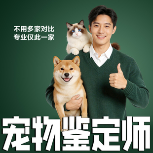 宠物品种鉴定猫品相鉴别狗狗宠物鉴定猫咪品种宠物咨询狗纯度鉴定