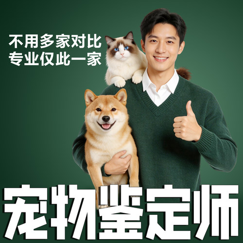 鉴猫狗1V1┃不推销活体┃包准