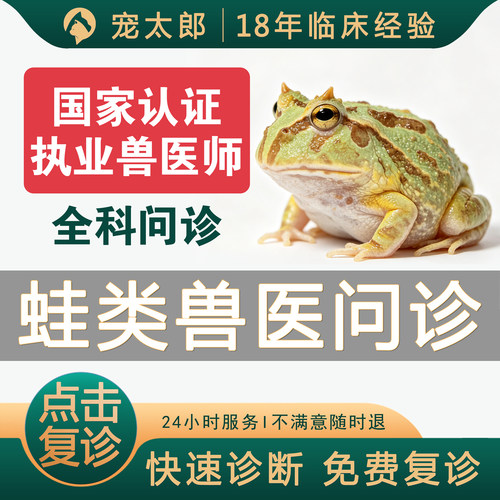 兽医问诊宠物医生在线问诊24小时蛙类问诊蛙角蛙问诊角蛙异宠医生