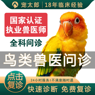 鹦鹉问诊鸟医生兽医在线问诊宠物医院异宠鸟治疗鸟类生病看病玄凤