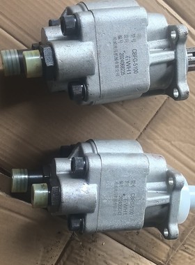 哈威液压齿轮泵  型号CBFG-5100  右WH1  两个议价产品