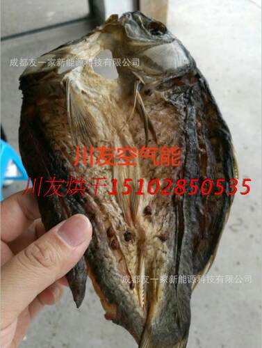 川友空气能鱼干烘干机，节能环保污染。烘干品质好