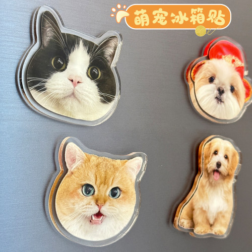 亚克力冰箱贴照片定制小狗狗猫咪diy宠物磁贴磁铁吸3d立体装饰品