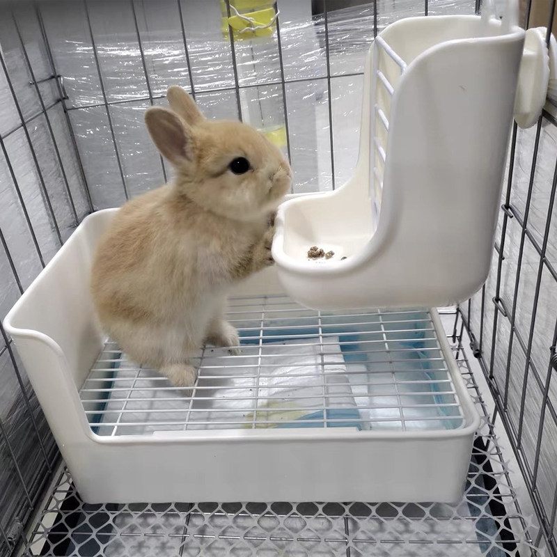 拉士格兔兔厕所便盆防喷尿 宠物龙猫貂豚鼠免沙 尿盆屎盆兔子用品