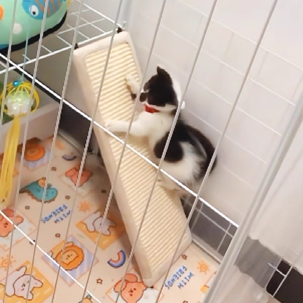 拉士格猫笼平台搭配 高密度剑麻板猫抓板 大号磨爪利器 可当爬梯