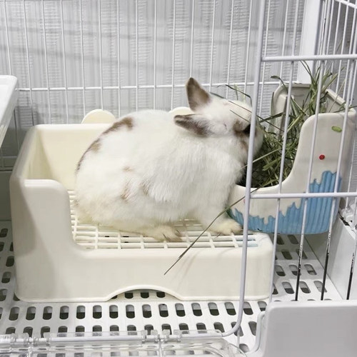 拉士格双层厕所特大号兔子