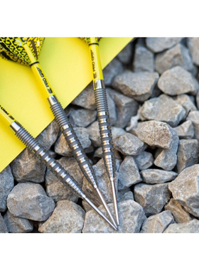 TARGET BOLIDE SWISS 21/22/23/24/25/26G克 90%钨钢硬式鱼雷飞镖