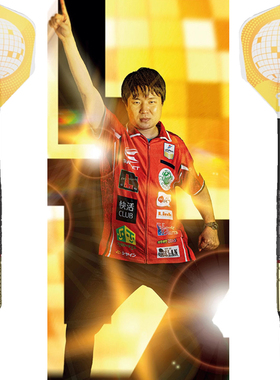 TARGET探极 GLITZ G2 2BA软式17钨钢飞镖 比赛硬式24克 有原