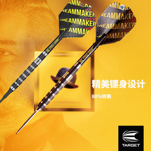 TARGET探极DIMITRI迪米特里·范登伯格swiss1代80钨钢飞镖硬软式