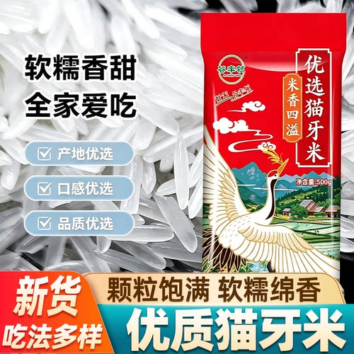 江西猫牙米大米长粒香米当季新米