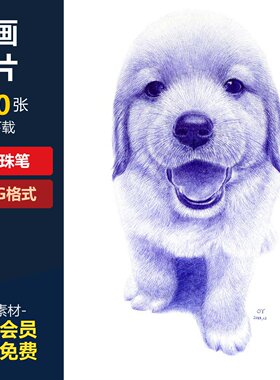 圆珠笔素描图片蓝色黑色圆珠笔临摹素材