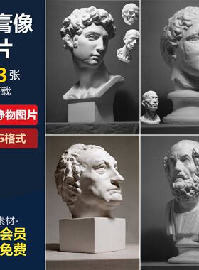石膏像照片素描图片素材五官面部雕塑大卫海盗马赛美第奇塔头胸像