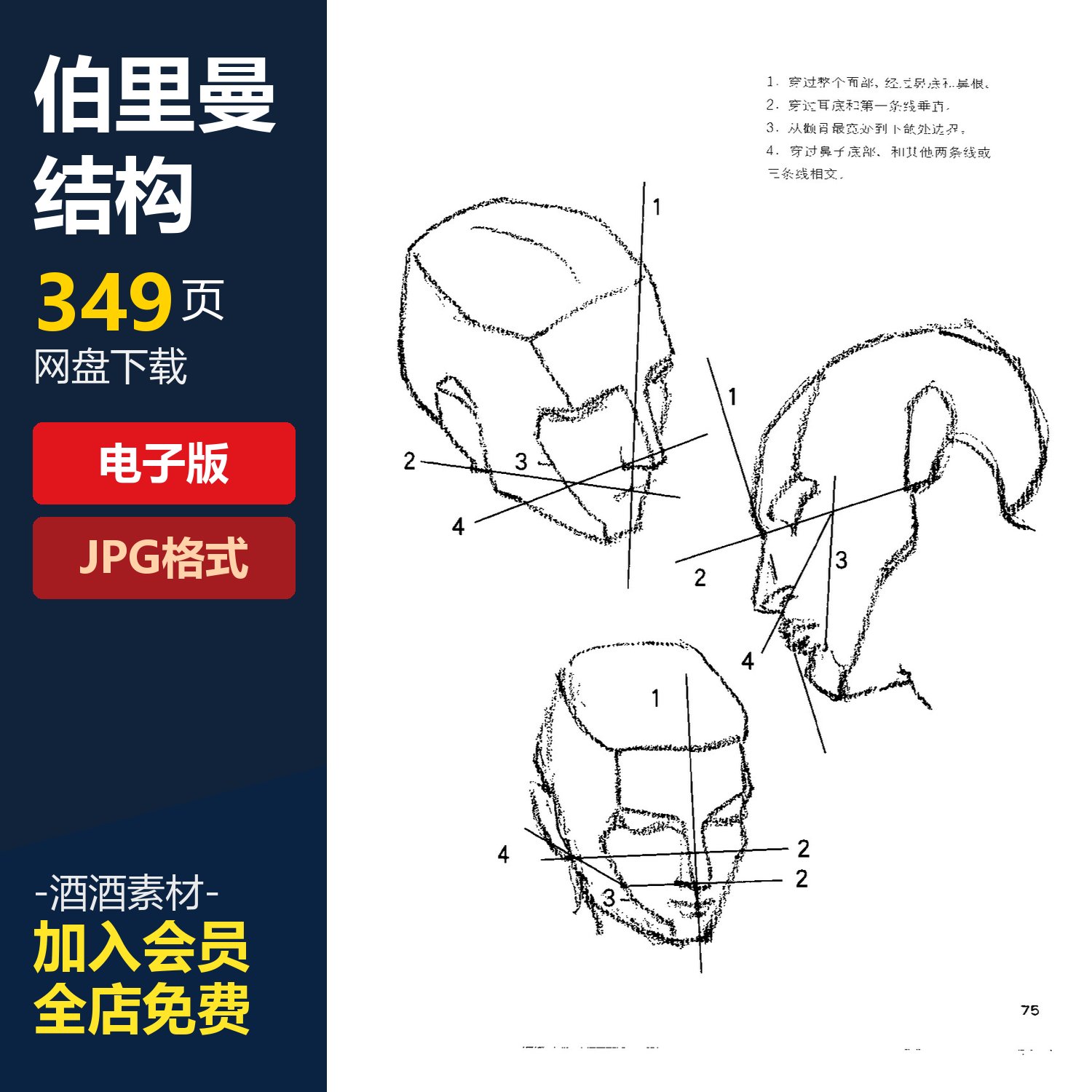 伯里曼人体结构绘画教学人物速写设计素材/源文件