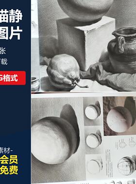 素描静物超强体系单体组合静物素描塑造铺色结构完整稿电子版临摹