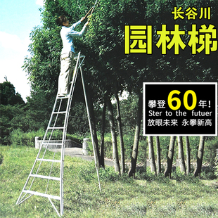 日本长谷川梯子伸缩铝合金轻巧园林梯绿化工具果园采摘果三角梯