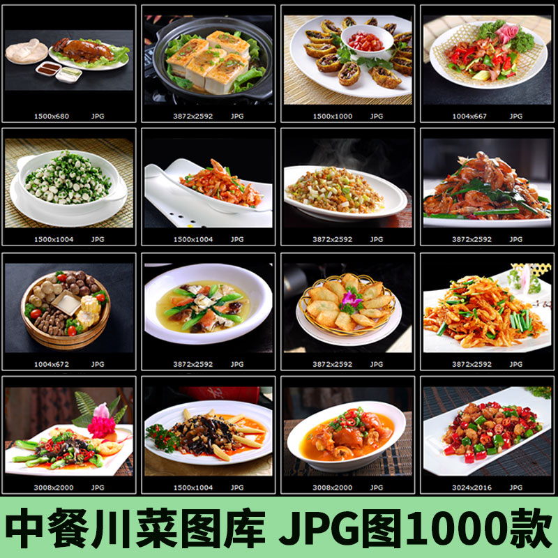 j073中餐川菜小炒菜菜品图 美食餐饮菜谱图库 jpg图片素材1000款