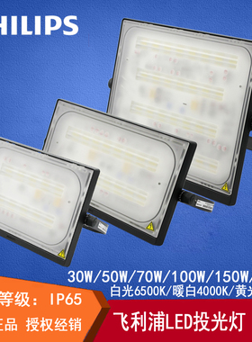 飞利浦LED投光灯BVP17X明辉户外防水射灯广告灯隧道泛光灯室外灯