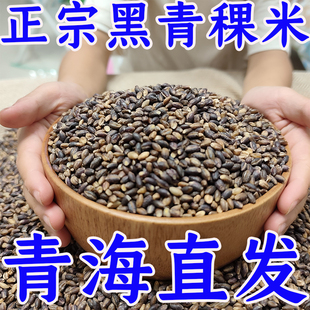 正宗精选青海黑青稞米粗粮杂粮高海拔无污染缓升糖优 厂家直销