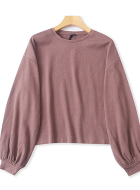 外贸圆领长袖T恤衫 春秋新款宽松时尚卫衣 女打底衫套头上衣11513
