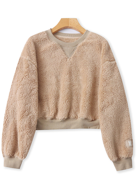 加厚圆领双面绒衫 春秋新款短款保暖时尚卫衣女外贸宽松外套02134