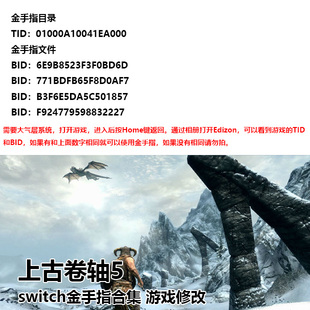 上古卷轴5 switch金手指 大气层系统 游戏修改 无限精力魔法负重