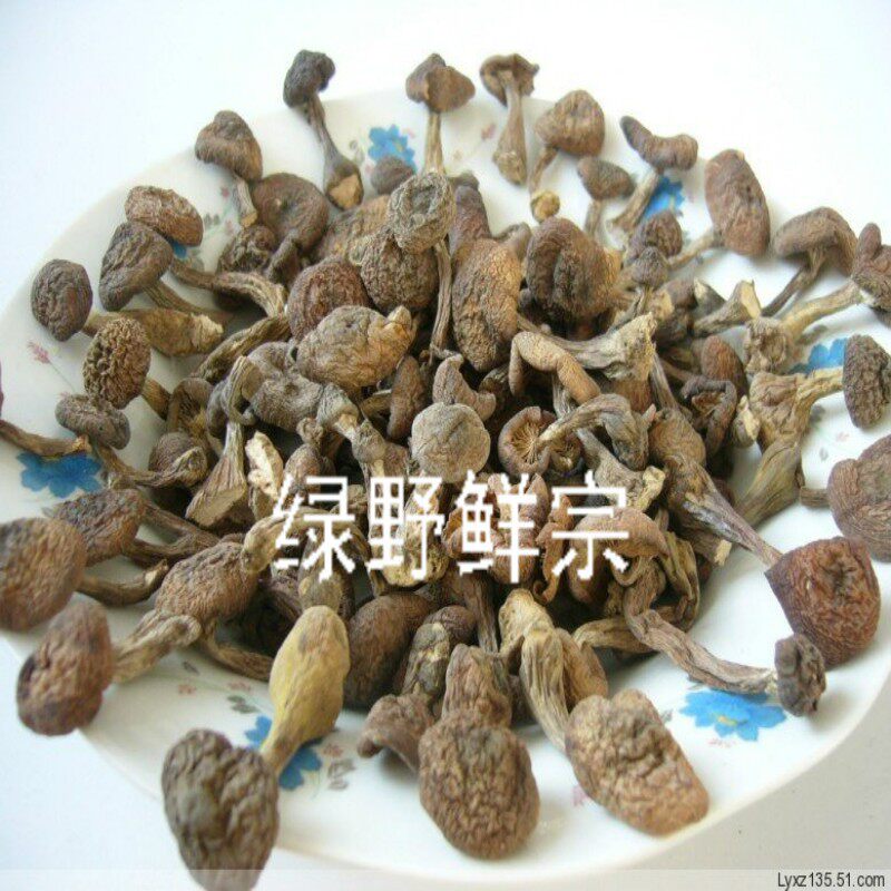大兴安岭野生榛蘑丁菌汤包邮