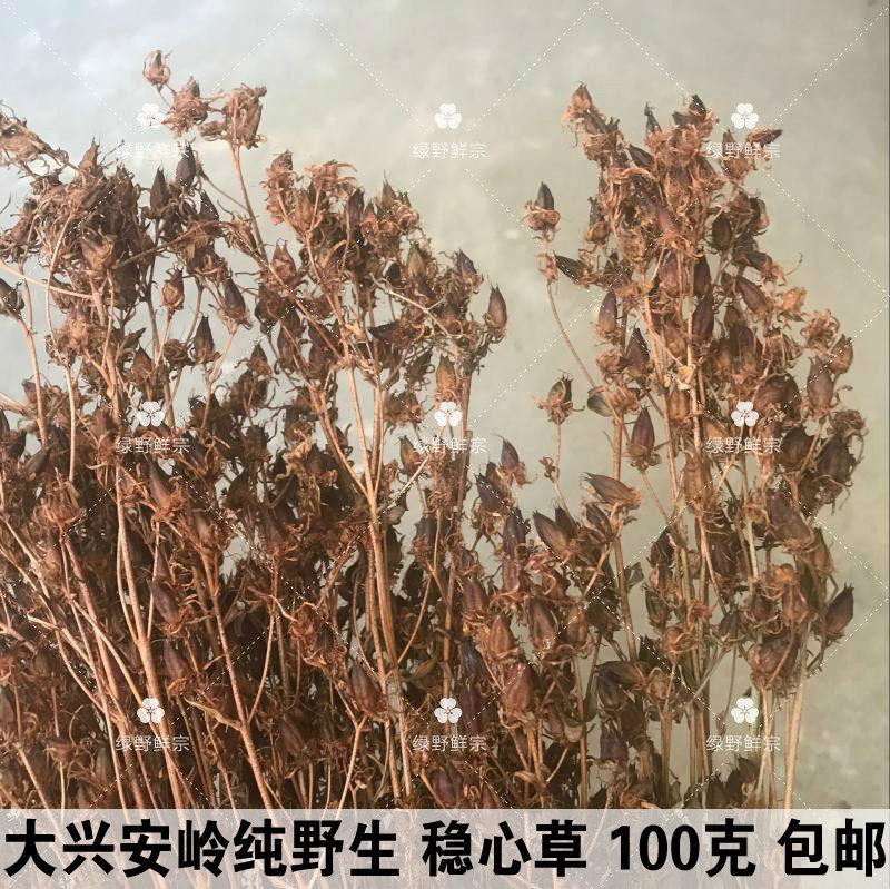 大兴安岭野生稳心草100克 鹿心草 泡水泡酒 对心脏好  包邮