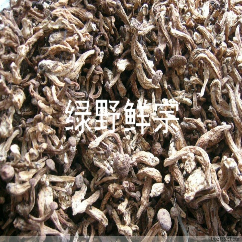 大兴安岭小鸡炖蘑菇5件包邮
