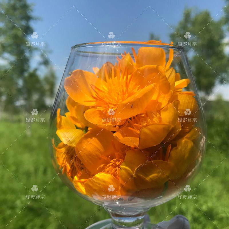 野生金莲花泡水花草茶包邮