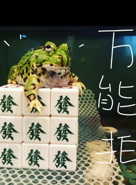 StudioPills-万能拍